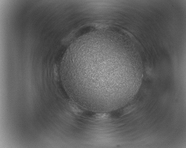 X0000068720667200605010935