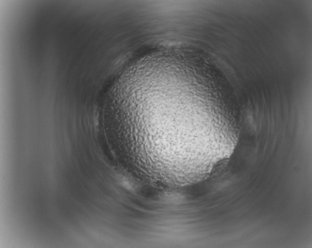 X0000068720668200605010935