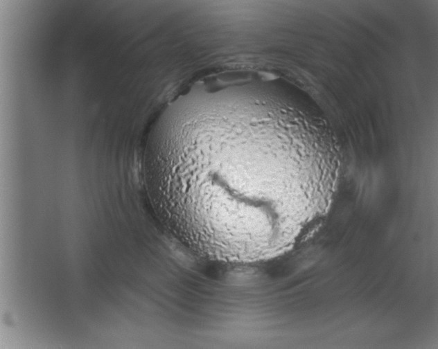 X0000068720669200605010935