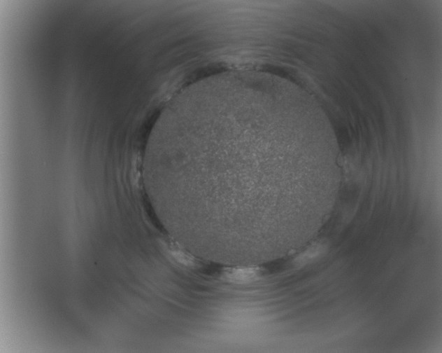 X0000068720671200605010935