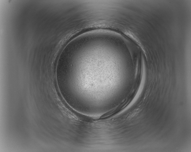 X0000068720673200605010934