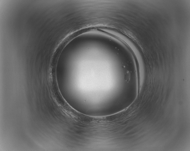 X0000068720676200605010934