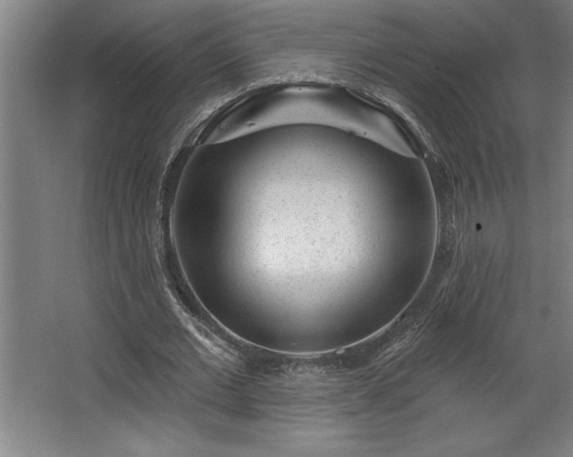 X0000068720677200605010934