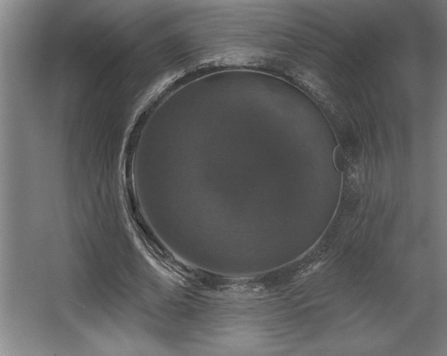 X0000068720678200605010934