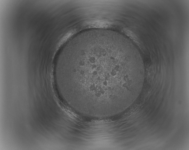 X0000068720679200605010934