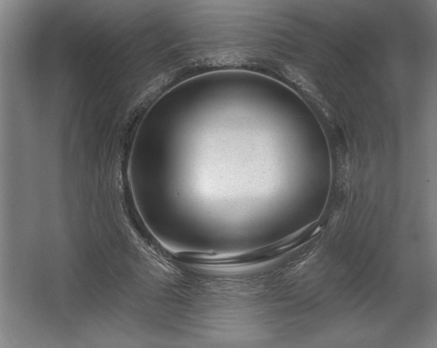 X0000068720681200605010934