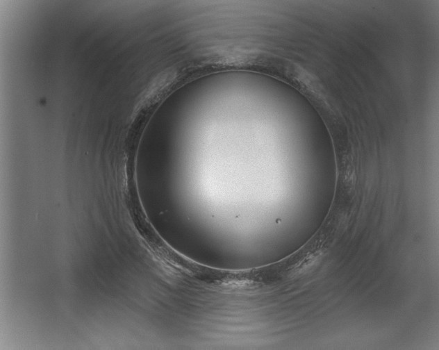 X0000068720685200605010934