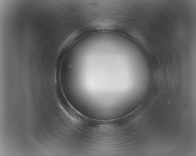 X0000068720686200605010934