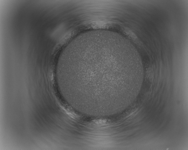 X0000068720687200605010934