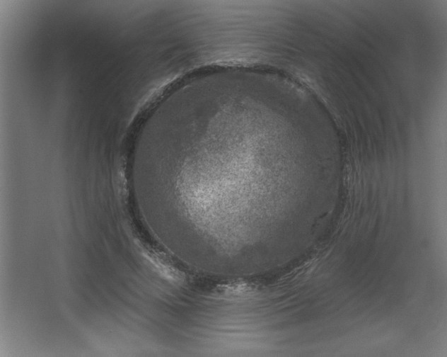 X0000068720688200605010934