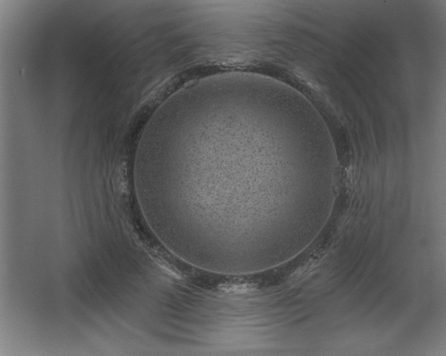 X0000068720689200605010934