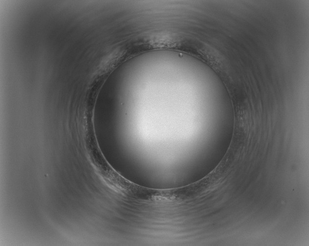 X0000068720690200605010934