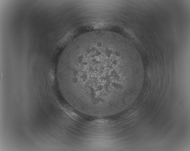 X0000068720691200605010934