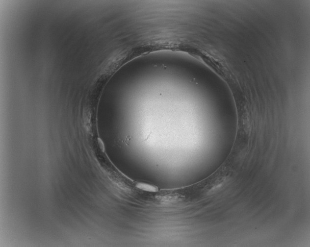 X0000068720693200605010934