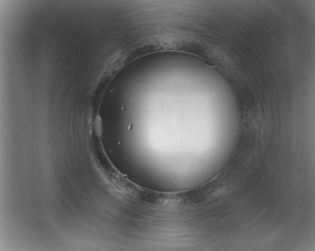 X0000068720694200605010934