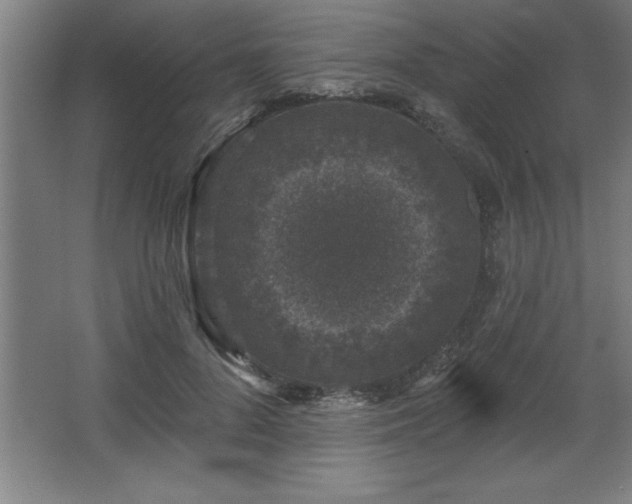 X0000068720696200605010934