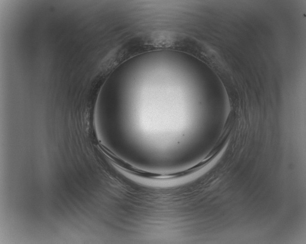 X0000068720697200605010934