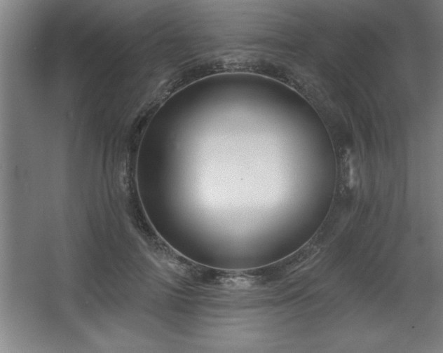 X0000068720698200605010934