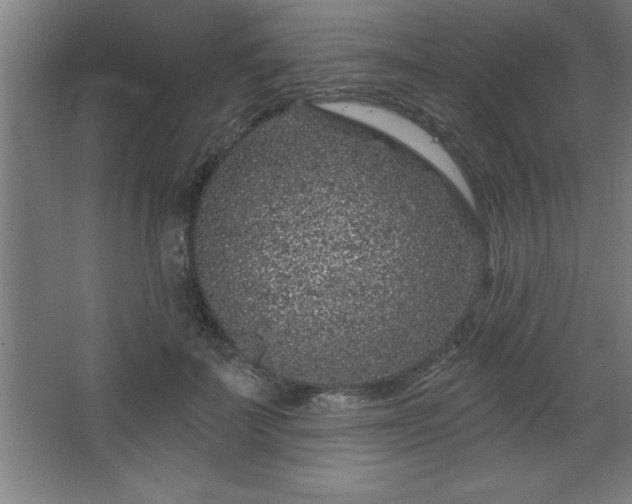 X0000068720699200605010934