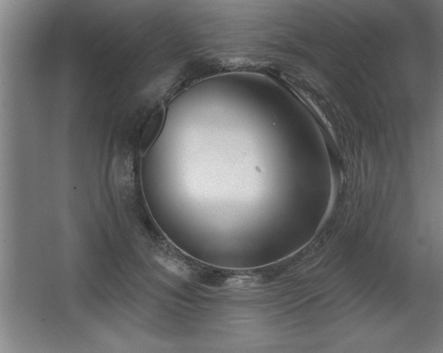 X0000068720700200605010934