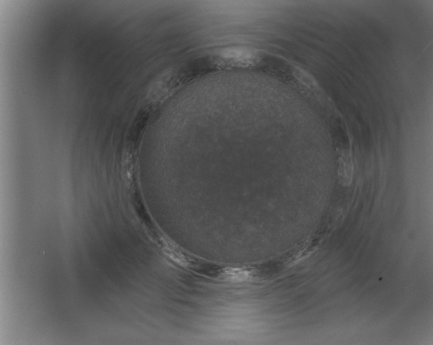 X0000068720701200605010934