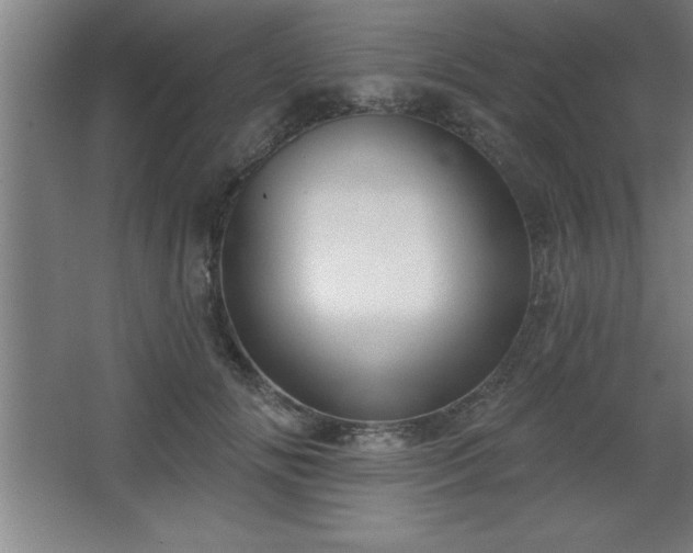 X0000068720702200605010934