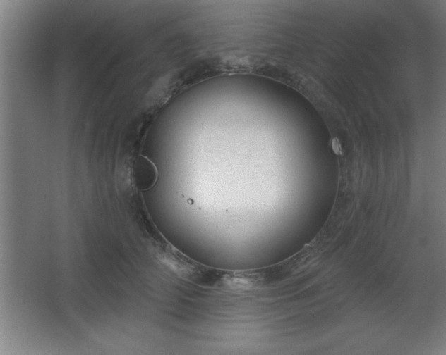 X0000068720706200605010933