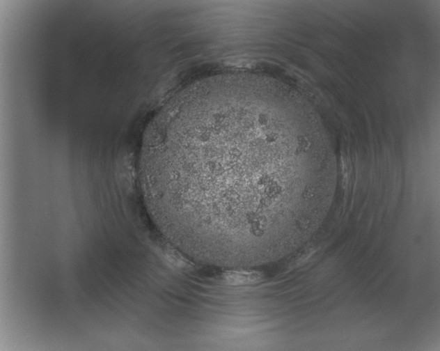 X0000068720707200605010933