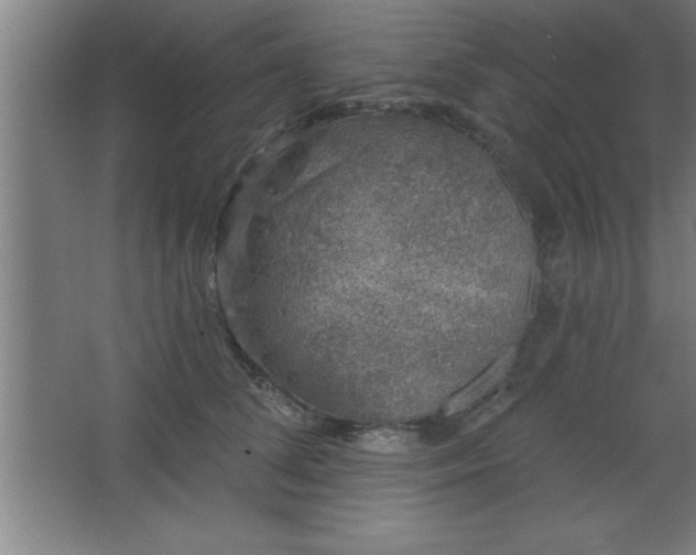 X0000068720708200605010933