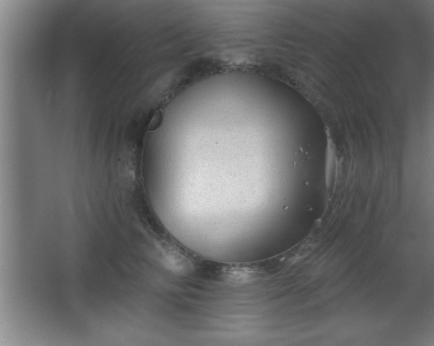 X0000068720710200605010933