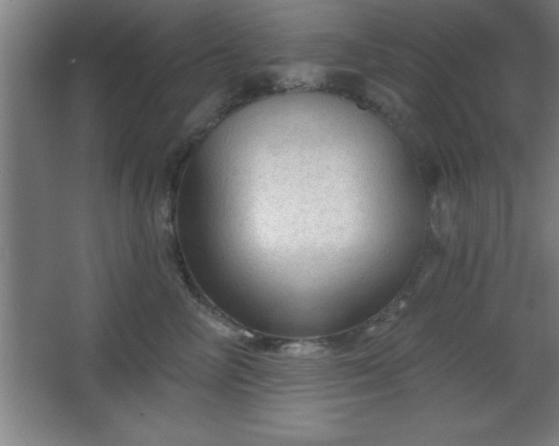 X0000068720714200605010933