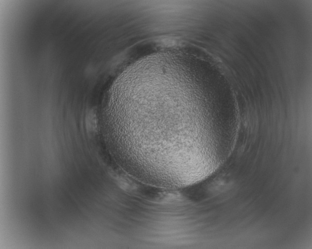 X0000068720715200605010933