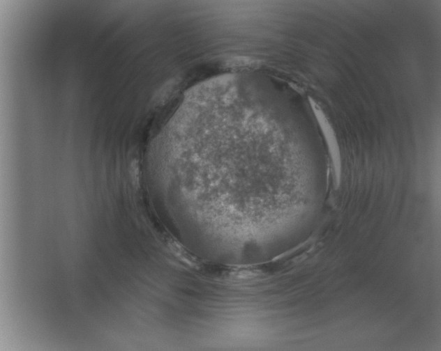 X0000068720716200605010933