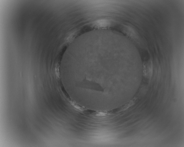 X0000068720718200605010933