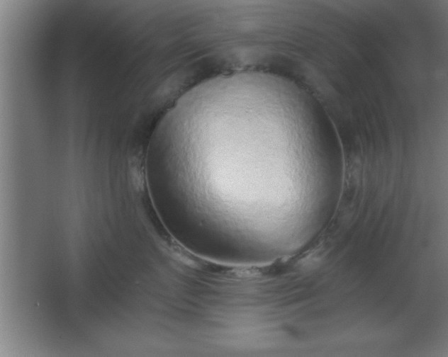 X0000068720719200605010933