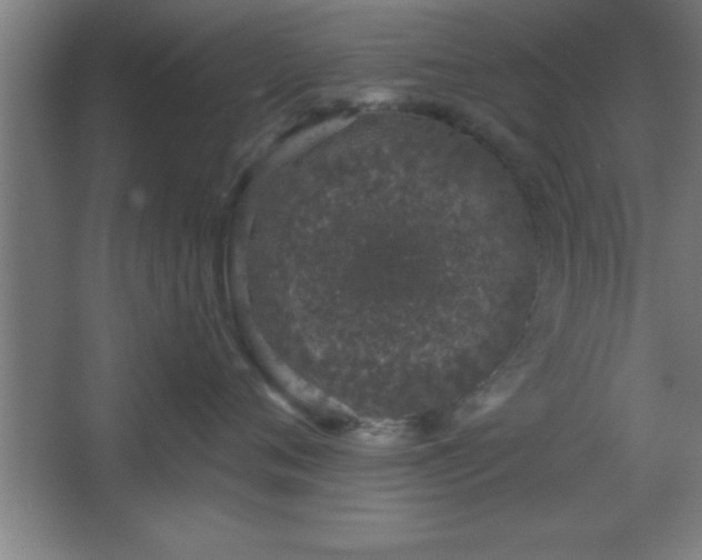 X0000068720720200605010933