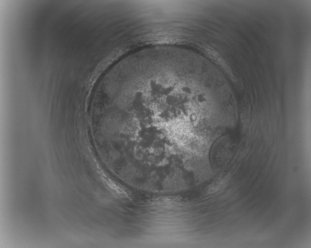 X0000068720721200605010932