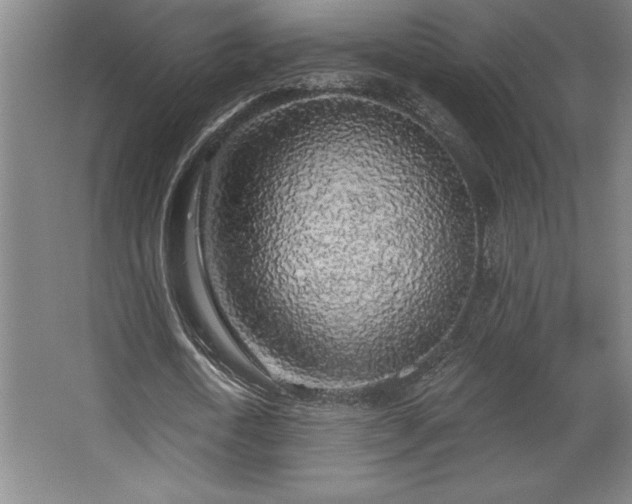 X0000068720722200605010932