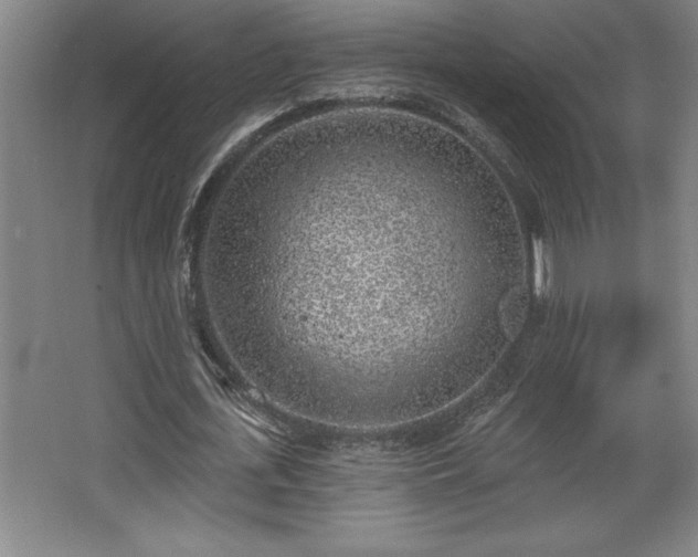 X0000068720723200605010932