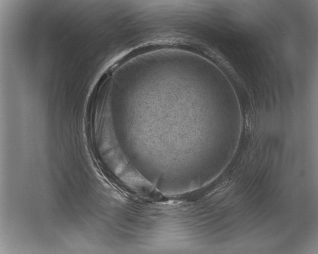 X0000068720724200605010932