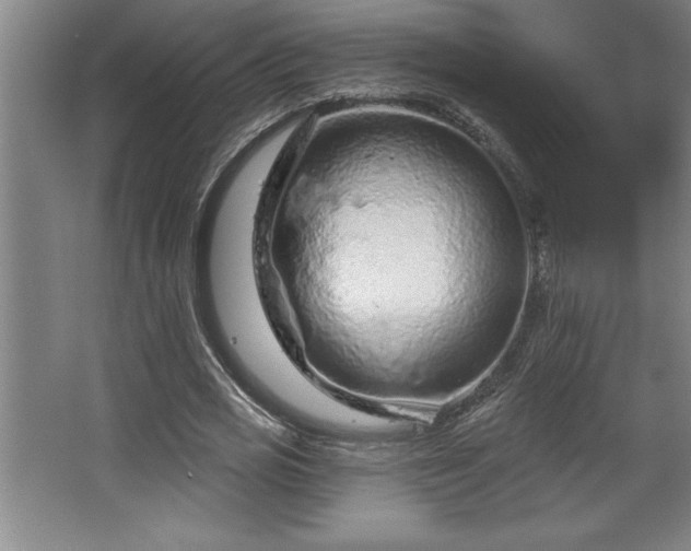 X0000068720725200605010932