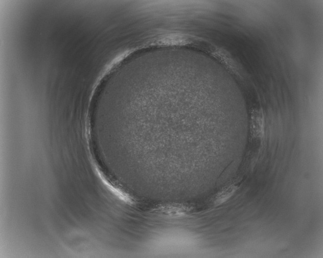 X0000068720726200605010933