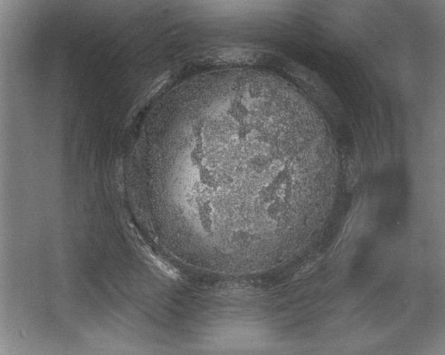 X0000068720729200605010933