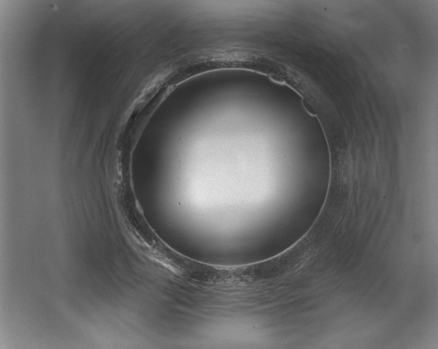 X0000068720731200605010933