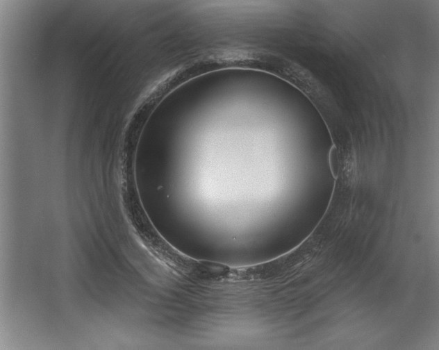 X0000068720732200605010933