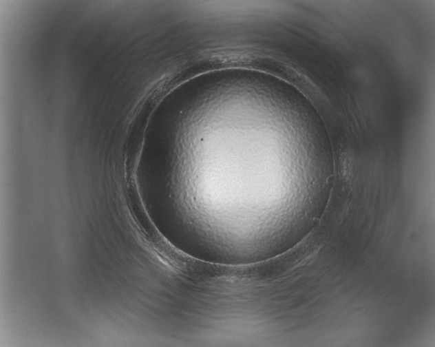 X0000068720733200605010933