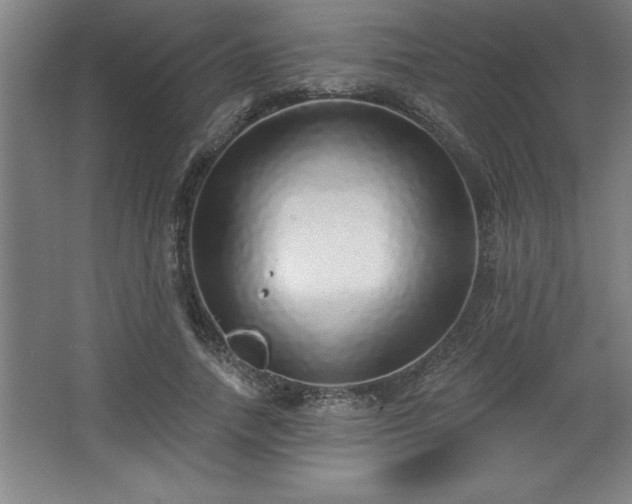 X0000068720738200605010933