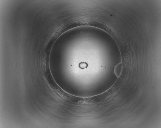 X0000068720739200605010933