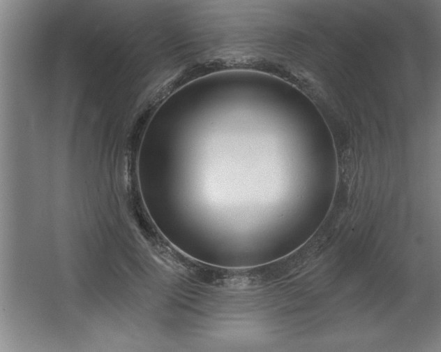 X0000068720740200605010933