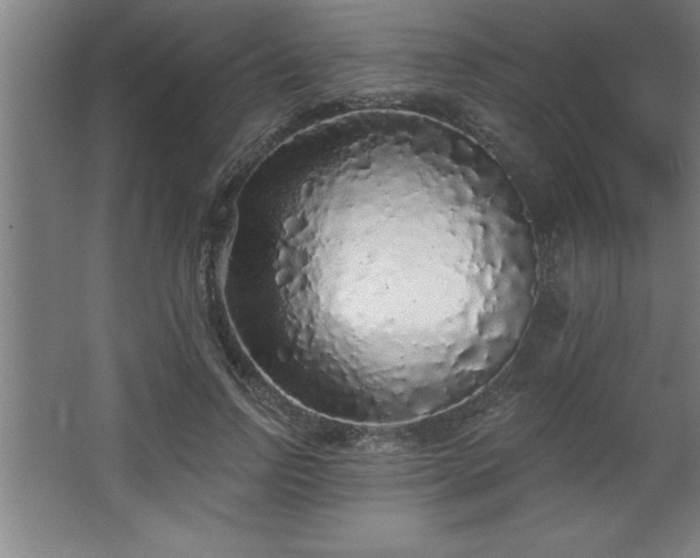 X0000068720742200605010933